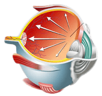 Chart Showing Pressure in the Eye