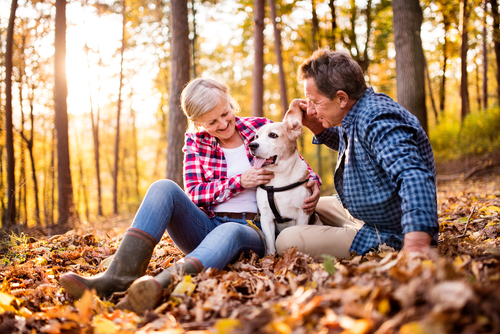 Couple petting dog in the woods. 